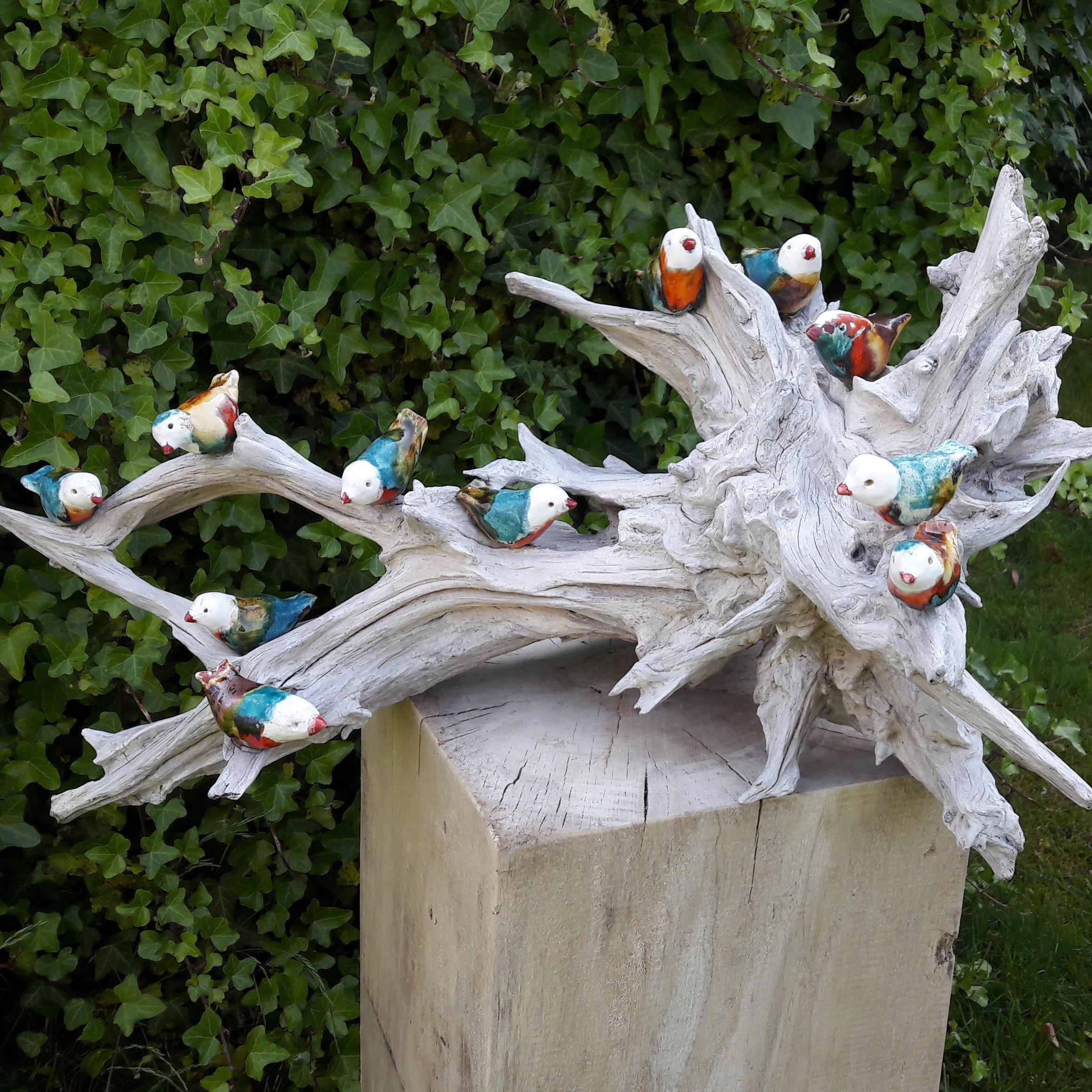 vogels op tak