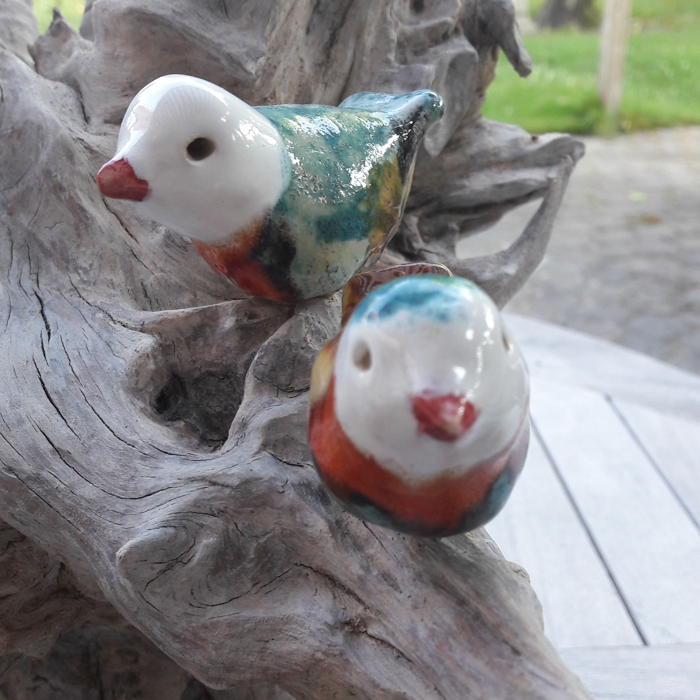vogeltjes op tak
